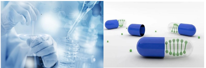 跨界融合 2022第九届生物发酵展引领日用品技术研发新浪潮